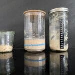 5 tips voor een sterke zuurdesemstarter