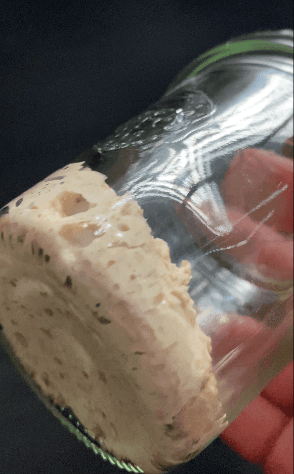 Actieve starter met bubbels