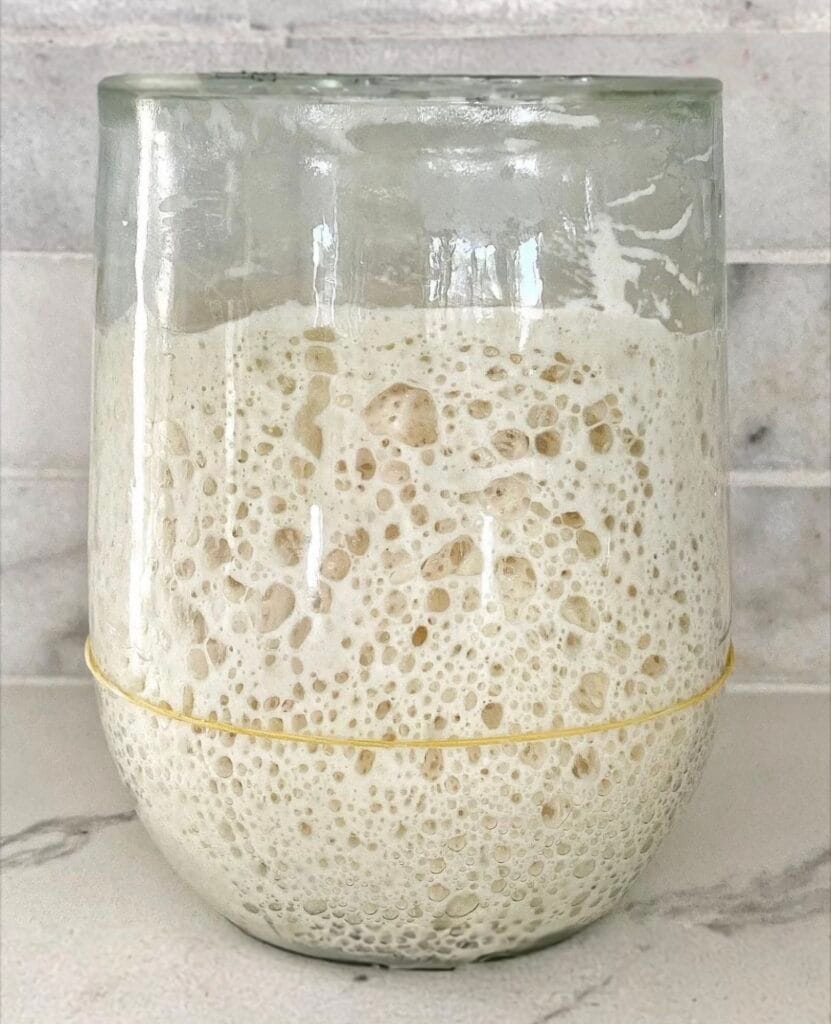 Je zuurdesembrood smaakt zuur! Grote kans dat je starter één van de oorzaken is.